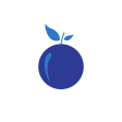 Blue icon of a fruit representing 'Integrity without compromise'